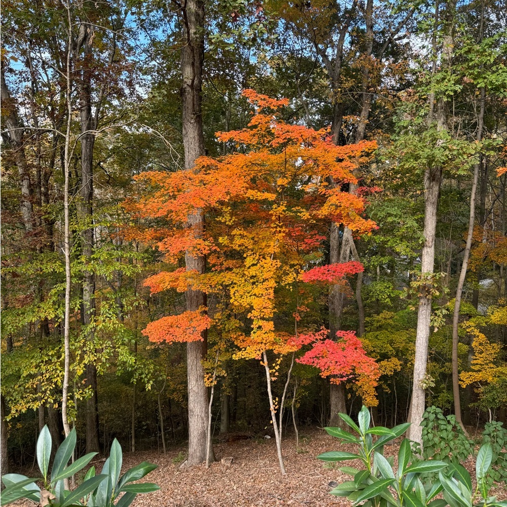 Meet your Posher, Gabrielle